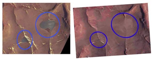 科学家|科学家预测成真！加拿大两冰盖3年彻底消失，北极圈担心的或发生