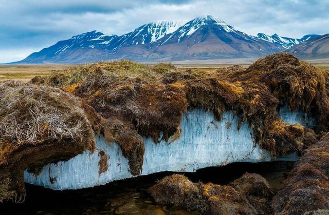 科学家|科学家预测成真！加拿大两冰盖3年彻底消失，北极圈担心的或发生