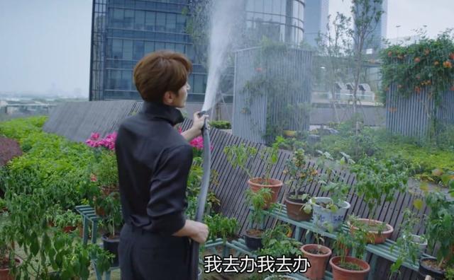 言承旭|浮夸做作，演技碎一地，言承旭沈月演情侣真的太违和