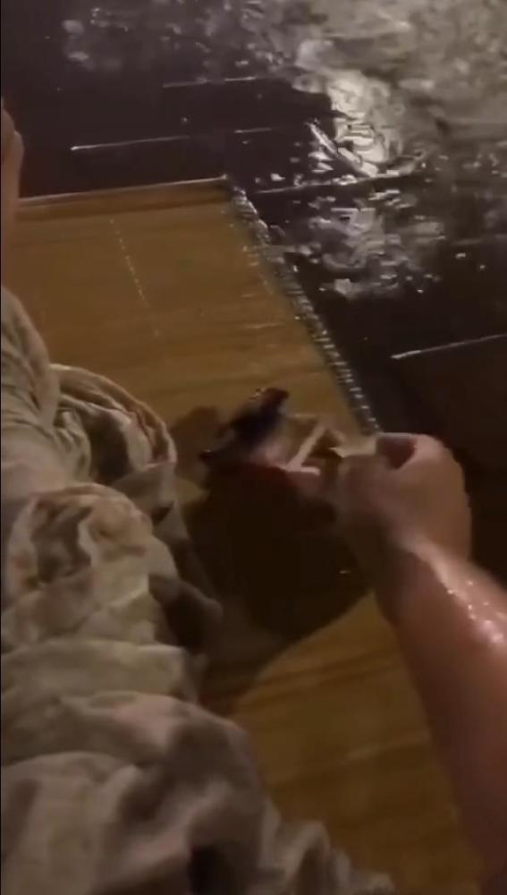 林更新|林更新翻车了？冒充流浪汉淋大雨睡大桥下，被视频原作者打假维权