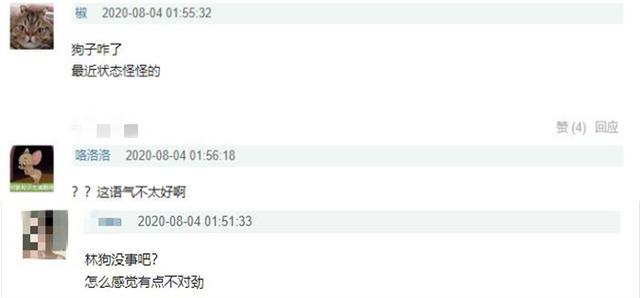 林更新|林更新翻车了？冒充流浪汉淋大雨睡大桥下，被视频原作者打假维权