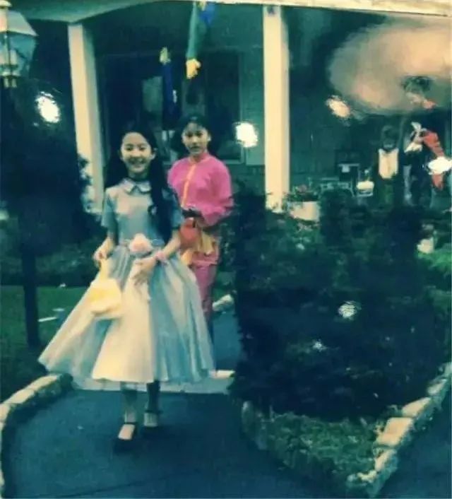 刘亦菲|刘亦菲，又红了