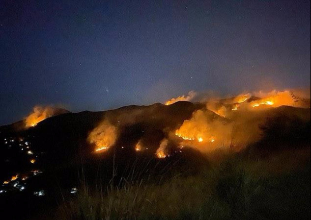 海利·巴罗佐·马丁斯|巴西六旬老人野外烧车骗保，意外引燃673公顷森林