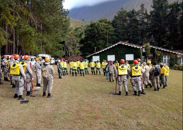 海利·巴罗佐·马丁斯|巴西六旬老人野外烧车骗保，意外引燃673公顷森林