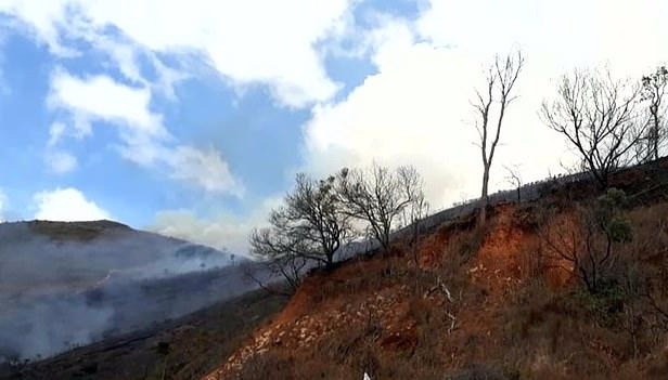 海利·巴罗佐·马丁斯|巴西六旬老人野外烧车骗保，意外引燃673公顷森林