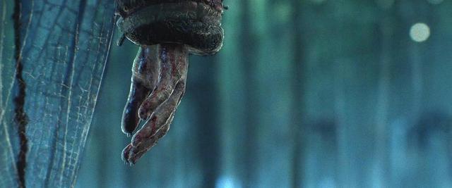 亨利|八月剧单：错过这些好剧，后悔一整年