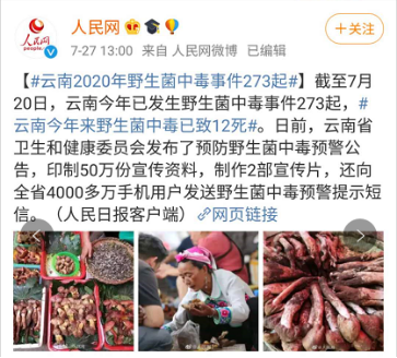 云南野生菌中毒事件最近又上了热搜