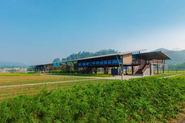 国庆来打卡仲恺2条线路入选惠州十大乡村旅游精品线路