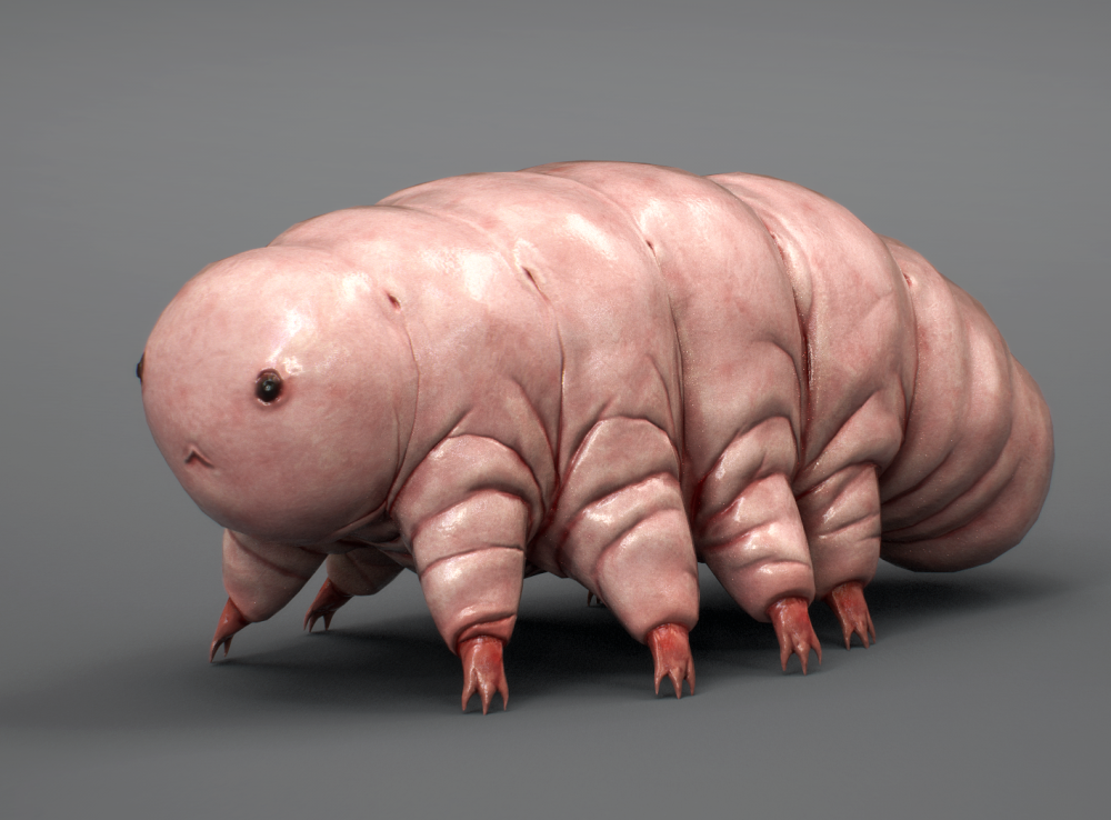 现实版"哥斯拉",这么可爱的虫宝宝居然拥有堪比怪兽的体质