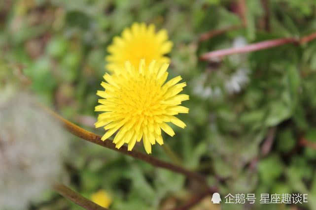 8月5日星座运势 金牛大胆尝试 天秤贵人帮助 双鱼广纳善言 星座运势 金牛座 双鱼座 贵人 天秤座
