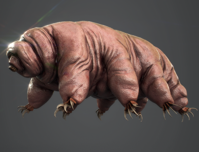 现实版哥斯拉这么可爱的虫宝宝居然拥有堪比怪兽的体质