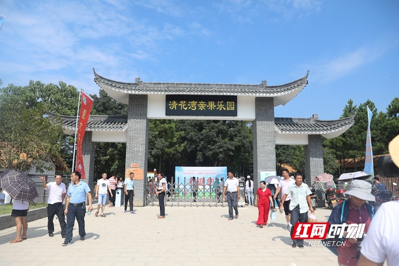 刺激又好玩衡阳县西渡镇清花湾青果乐园今日开园