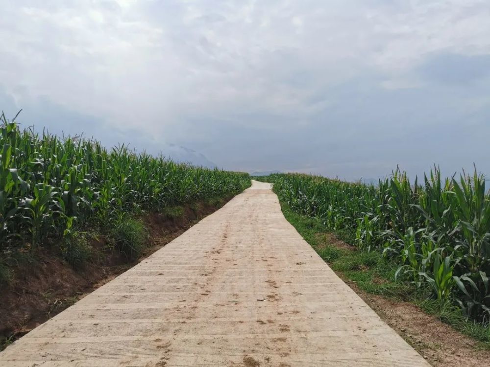 农业生产有诸多的不便,现在不仅水直接引到地里灌溉,田间道路也得到