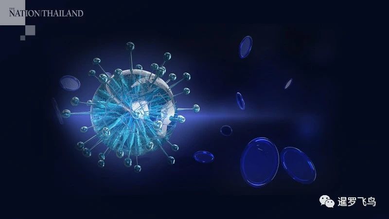 泰国_社会|泰国著名流行病专家警告切勿开放边界，并坚决反对旅行泡泡计划