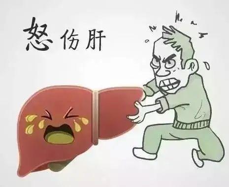 抑郁,暴怒最易伤肝,导致肝气郁结或肝火旺盛的病理变化.