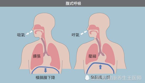 人体健康之呼吸运动 腾讯新闻