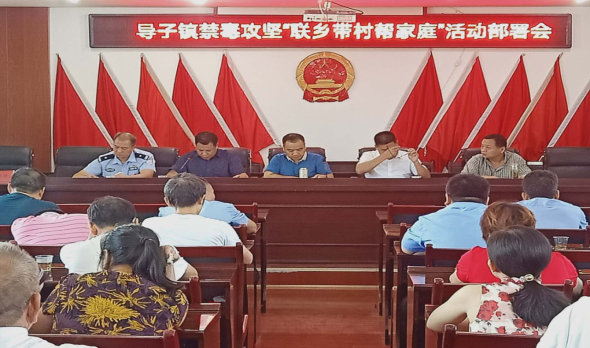 耒阳市导子镇开展联乡带村帮家庭活动