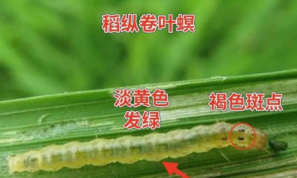 腾讯新闻