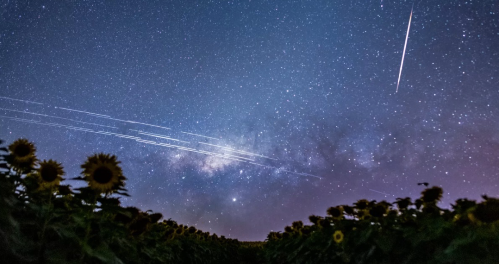 埃隆·马斯克|星链卫星把光污染带入夜空，天文学家对马斯克爆粗口了