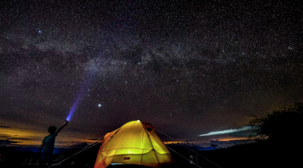 埃隆·马斯克|星链卫星把光污染带入夜空，天文学家对马斯克爆粗口了