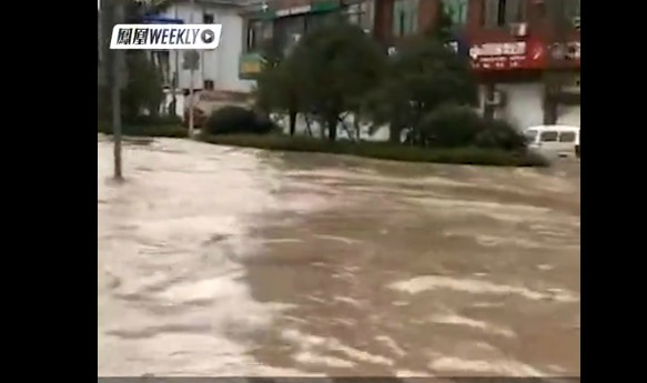 头牛|村民十几头牛在台风中被洪水冲走 一头接着一头