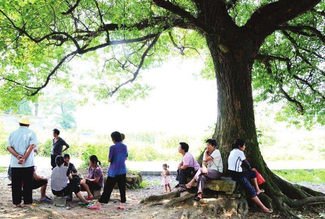 农村上世纪80年代三伏天没电没风扇没空调农民怎么熬过盛夏