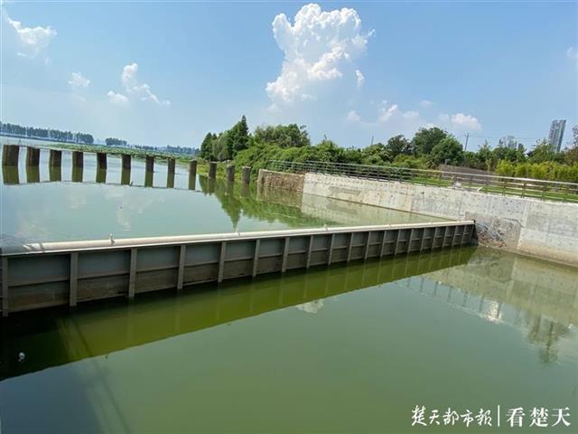 东湖防洪度汛有高招 各个子湖既能分区管控又可联合调度 腾讯新闻