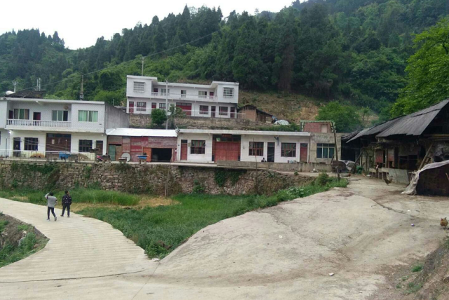 情系古蔺大山深处那片玉林,我与两位支教老师三个月相处的点点滴滴