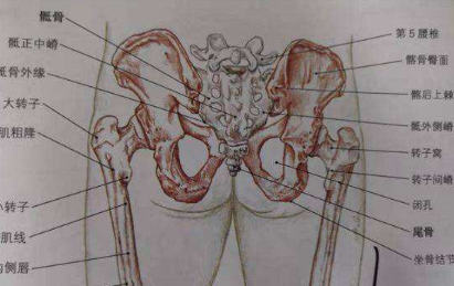 八髎调妇科给子宫驱寒补阳挫八髎艾灸6穴位调大部分妇科病67