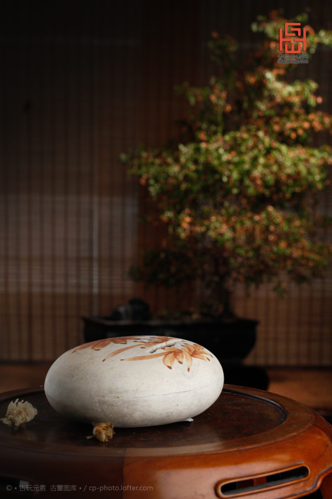 庚子年|沧海遗珍 五月廿五庚子年【鼠年】癸未月 己未日 之二