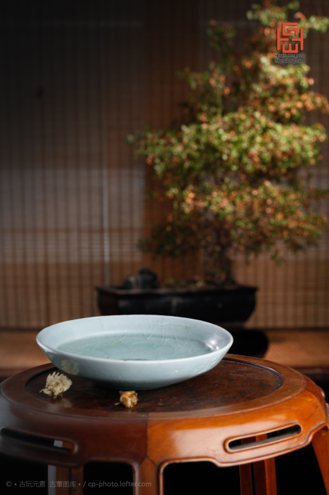 庚子年|沧海遗珍 五月廿五庚子年【鼠年】癸未月 己未日 之二