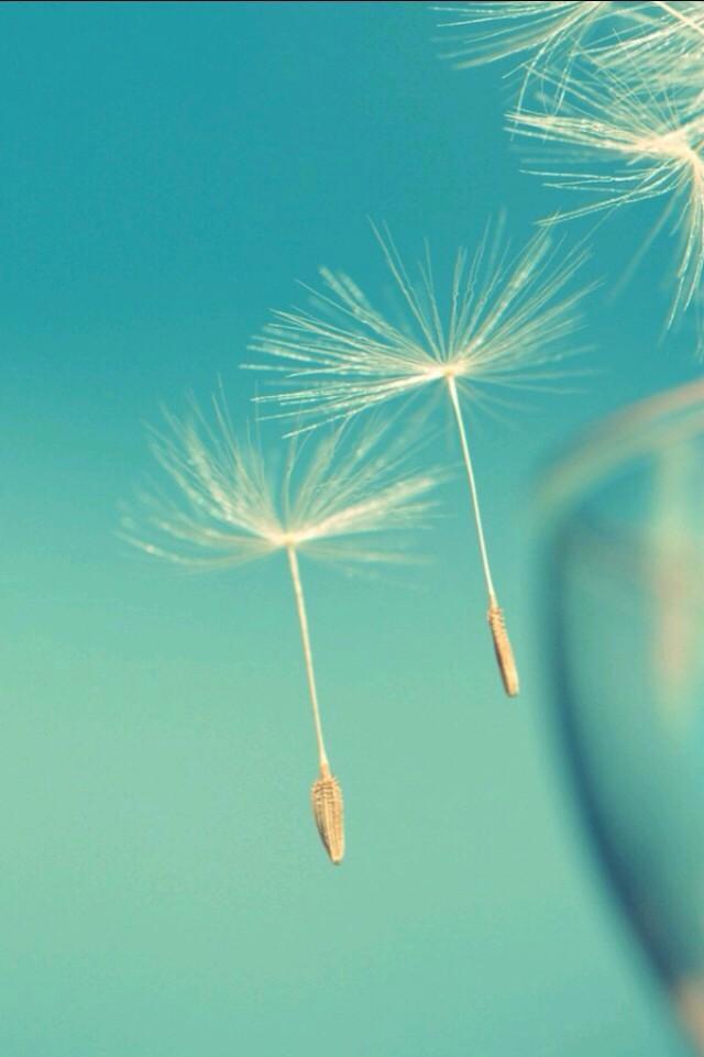 触动心灵的正能量句子,积极阳光,适合清晨发朋友圈