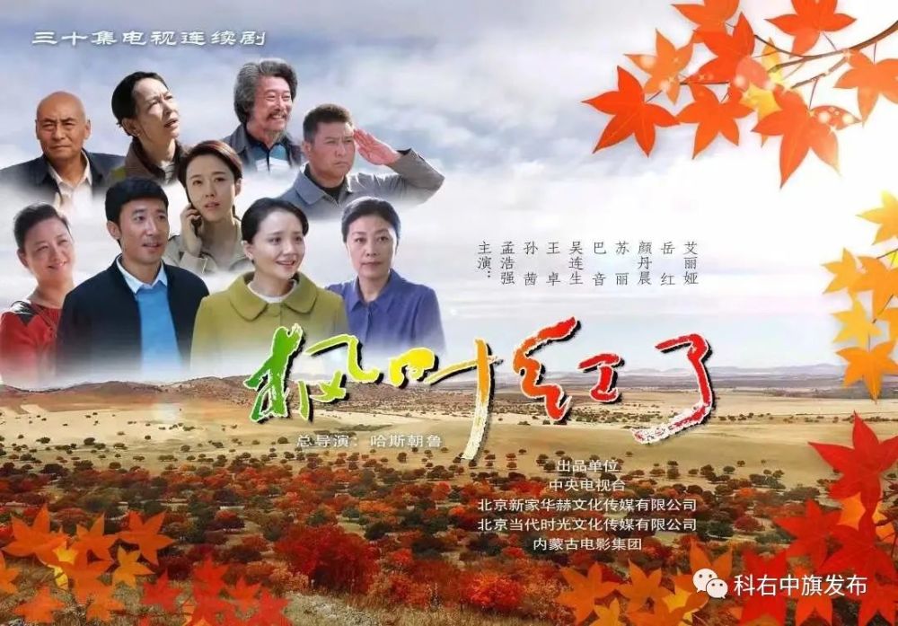 经典回顾电视剧枫叶红了