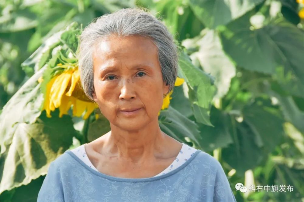 播出预告电视剧枫叶红了来了8月5日起将在央视黄金时段播出