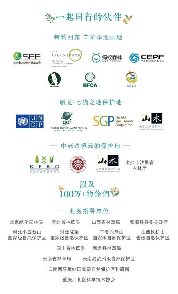 兔狲|啊！看到兔狲了！