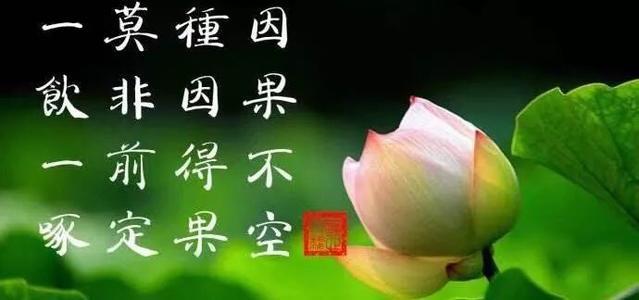 一切皆是因果循环