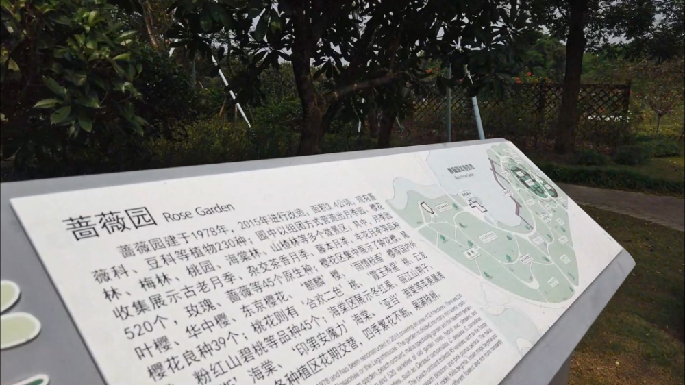 盛夏小众打卡地 想要欣赏烈日下的浓艳灿烂吗 腾讯新闻