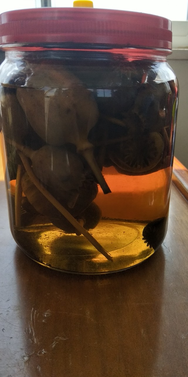 民警安检船舶查获罂粟药酒