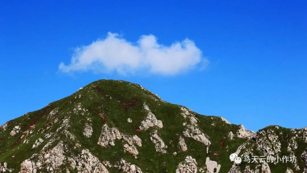 神秘露骨山,比天还高三尺三!定西的"香格里拉"惊艳到你了吗?