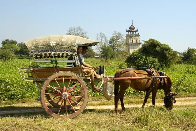 中国古代马车是从西方传来,还是独立发明的,一起来看马车发展史