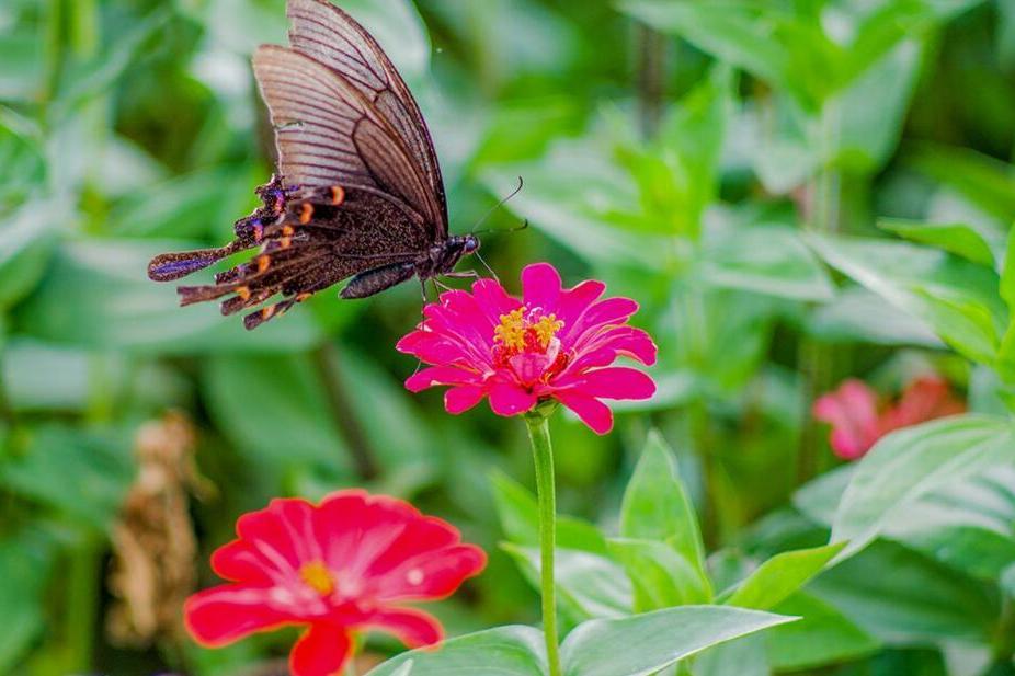 恋爱时 十二星座女能接受多大的年龄差 双子没限制 腾讯新闻