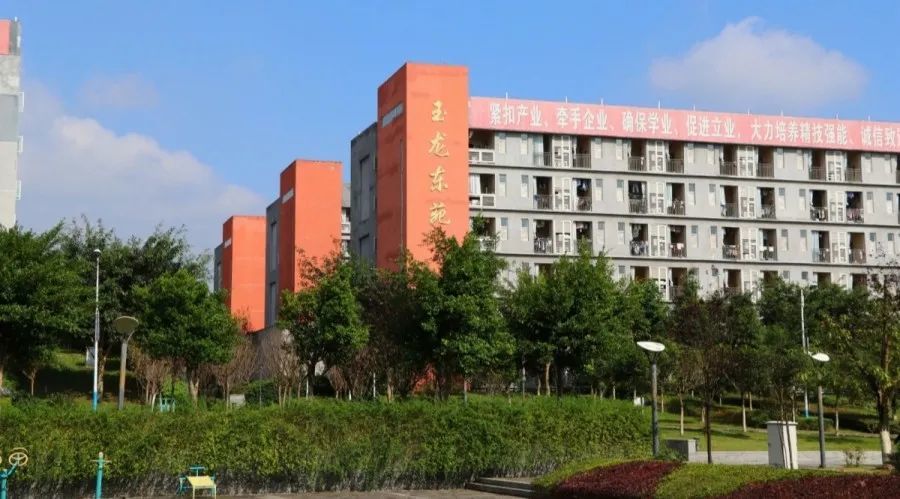 人才和智力上的大力支持,"专升本"优势大,优先升入重庆邮电大学及四川