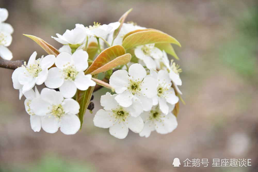 8月6日星座运势 双子成熟稳重 天蝎加倍努力 射手积极主动 腾讯新闻