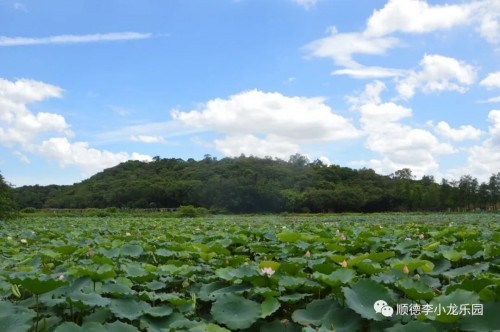 佛山順德旅遊:嶺南生態樂園