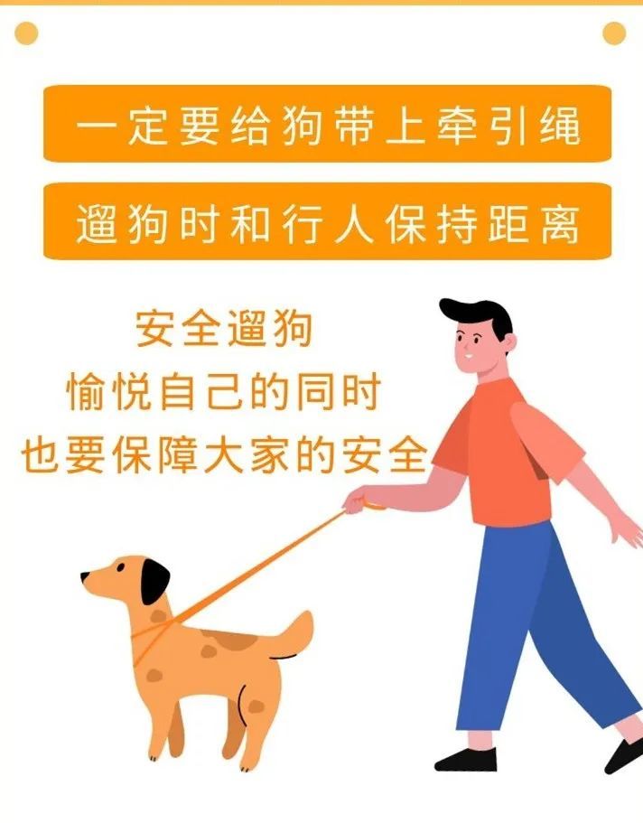 青山区法院你的宠物狗还不栓牵引绳