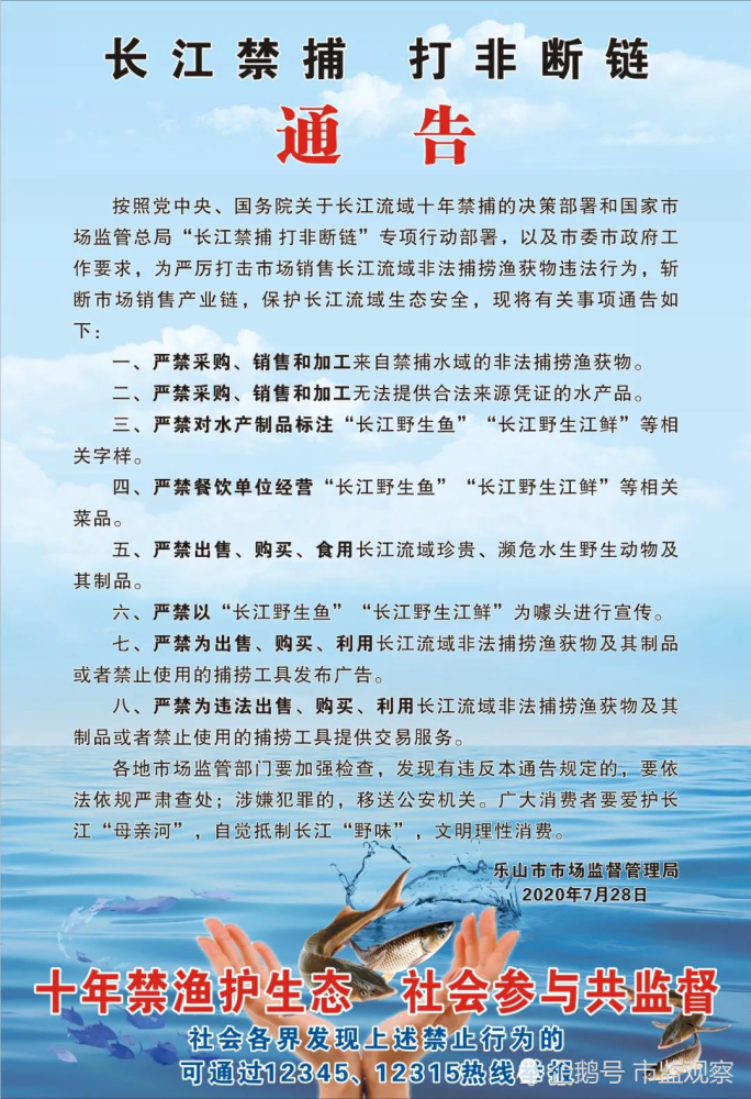 原来长江禁捕打非断链宣传海报也可以这么漂亮