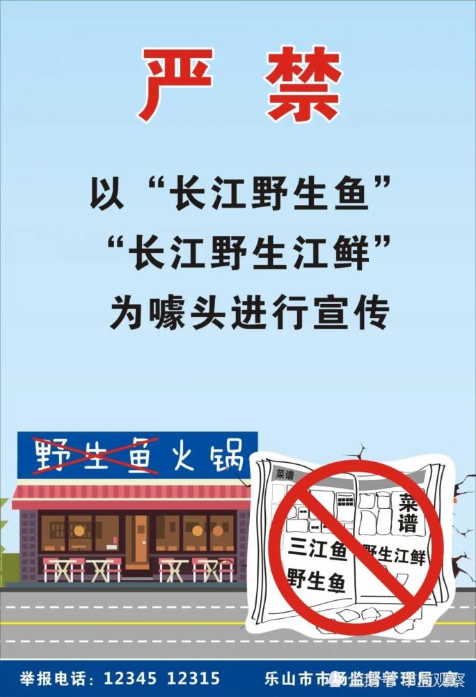 原来"长江禁捕打非断链"宣传海报也可以这么漂亮