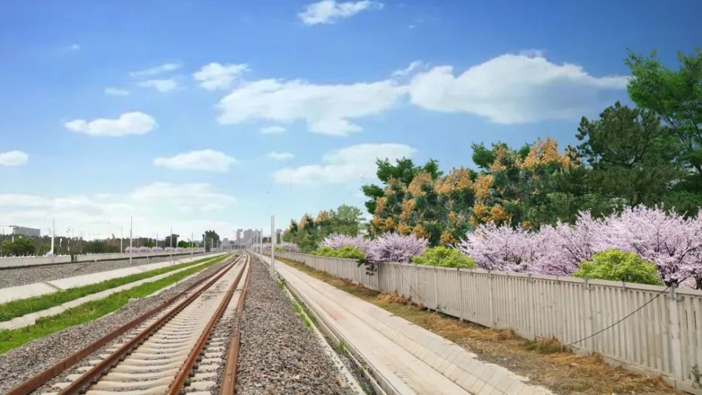 沿京张高铁打造四季锦绣的绿色廊道