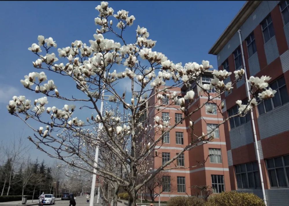 欢迎报考邢台学院!