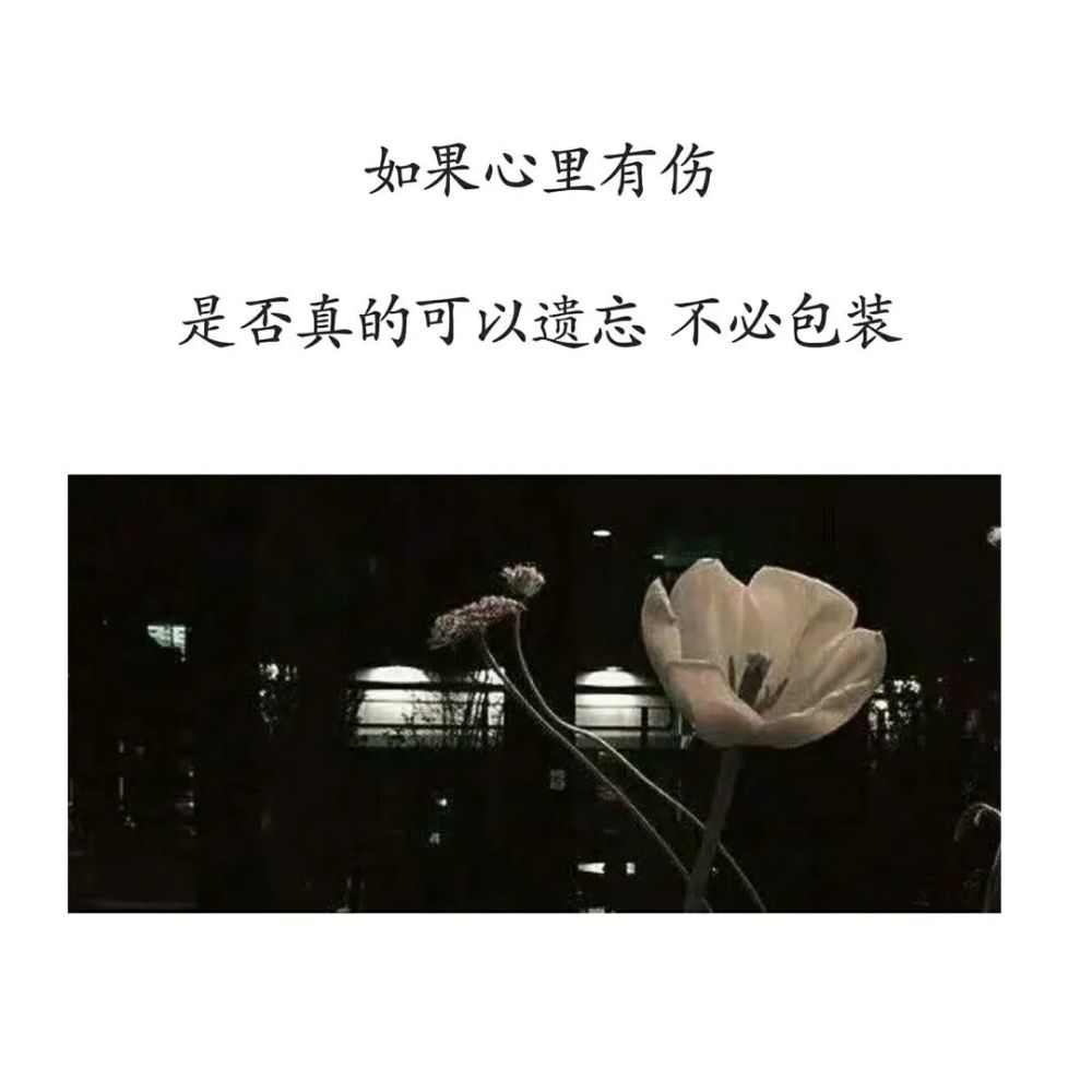 有故事的人手机壁纸第1页 驾考预约大全